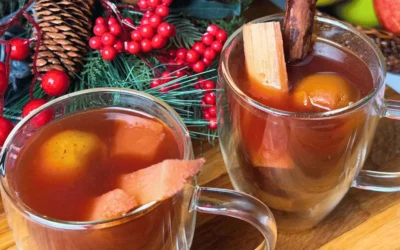 CHRISTMAS PONCHE
